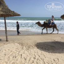 фото из отзыва ID 1724724