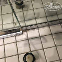 фото из отзыва ID 1724772