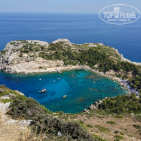 фото из отзыва ID 1724782