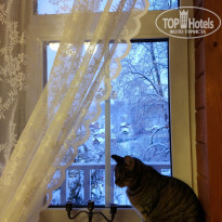 фото из отзыва ID 1724783