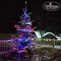 фото из отзыва ID 1724783