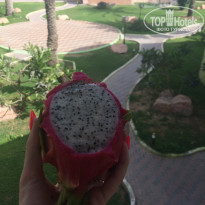 фото из отзыва ID 1724803