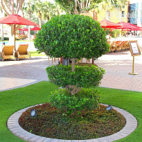 фото из отзыва ID 1724875