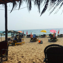 фото из отзыва ID 1724975