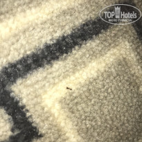 фото из отзыва ID 1724988