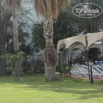 фото из отзыва ID 1725075