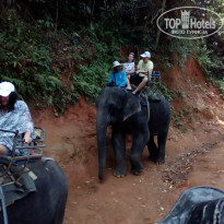 фото из отзыва ID 1724430