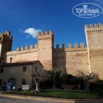 фото из отзыва ID 1724145