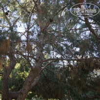 фото из отзыва ID 1725144