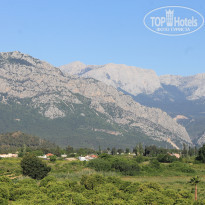 фото из отзыва ID 1725150