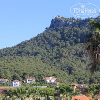 фото из отзыва ID 1725150