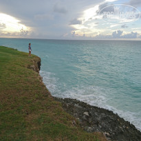 фото из отзыва ID 1725186