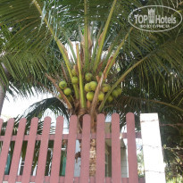 фото из отзыва ID 1725280