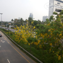 фото из отзыва ID 1725280