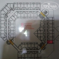 фото из отзыва ID 1725496