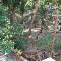 фото из отзыва ID 1725546