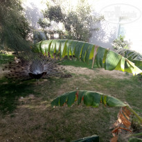 фото из отзыва ID 1725587