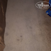 фото из отзыва ID 1725635