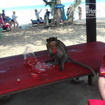 фото из отзыва ID 1725690