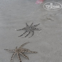 фото из отзыва ID 1725690