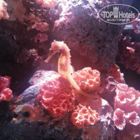 фото из отзыва ID 1725690