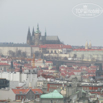 фото из отзыва ID 1725772