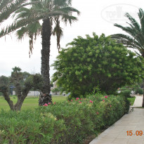 фото из отзыва ID 1725778