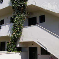 фото из отзыва ID 1725779