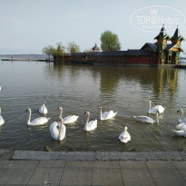 фото из отзыва ID 1725730