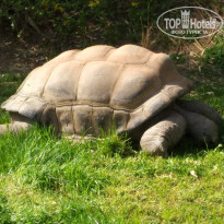 фото из отзыва ID 1725939