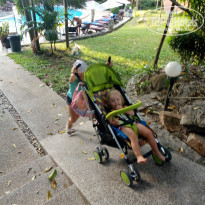 фото из отзыва ID 1725942