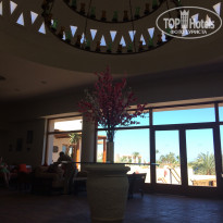 фото из отзыва ID 1726026