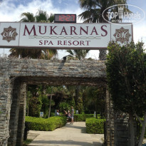 фото из отзыва ID 1723539