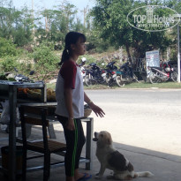 фото из отзыва ID 1726053