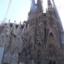 фото из отзыва ID 1726082