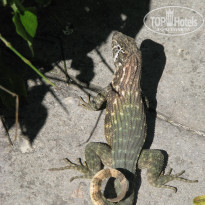 фото из отзыва ID 1726091