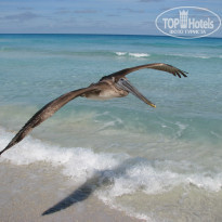 фото из отзыва ID 1726091