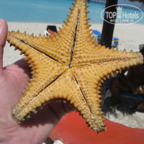 фото из отзыва ID 1726091