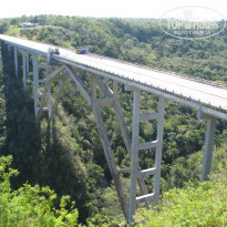 фото из отзыва ID 1726091