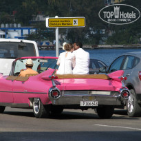 фото из отзыва ID 1726091