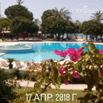 фото из отзыва ID 1726178