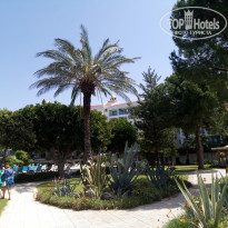 фото из отзыва ID 1726178