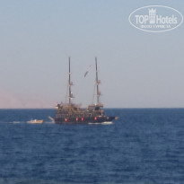 фото из отзыва ID 1726188