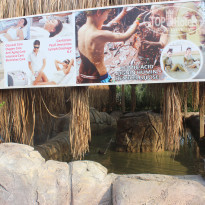 фото из отзыва ID 1726190