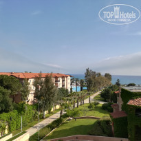 фото из отзыва ID 1726222