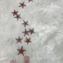 фото из отзыва ID 1726270