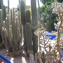 фото из отзыва ID 1726243