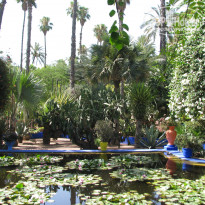 фото из отзыва ID 1726243