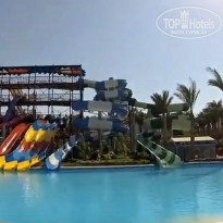 фото из отзыва ID 1726277