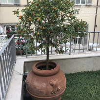 фото из отзыва ID 1726410